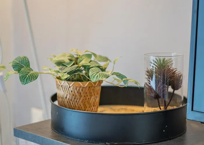 Apartamento L'escale Angers